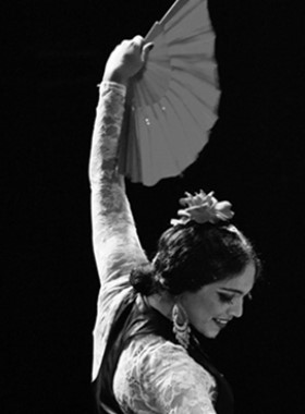Misuda Cohen – Dancer